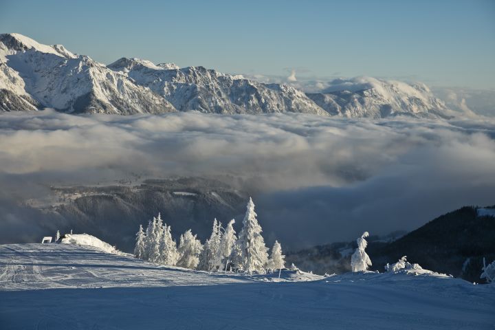 Team Quattro Sport Engelberg, 2 Geschäfte, Sportartikel, Ski Vermietung